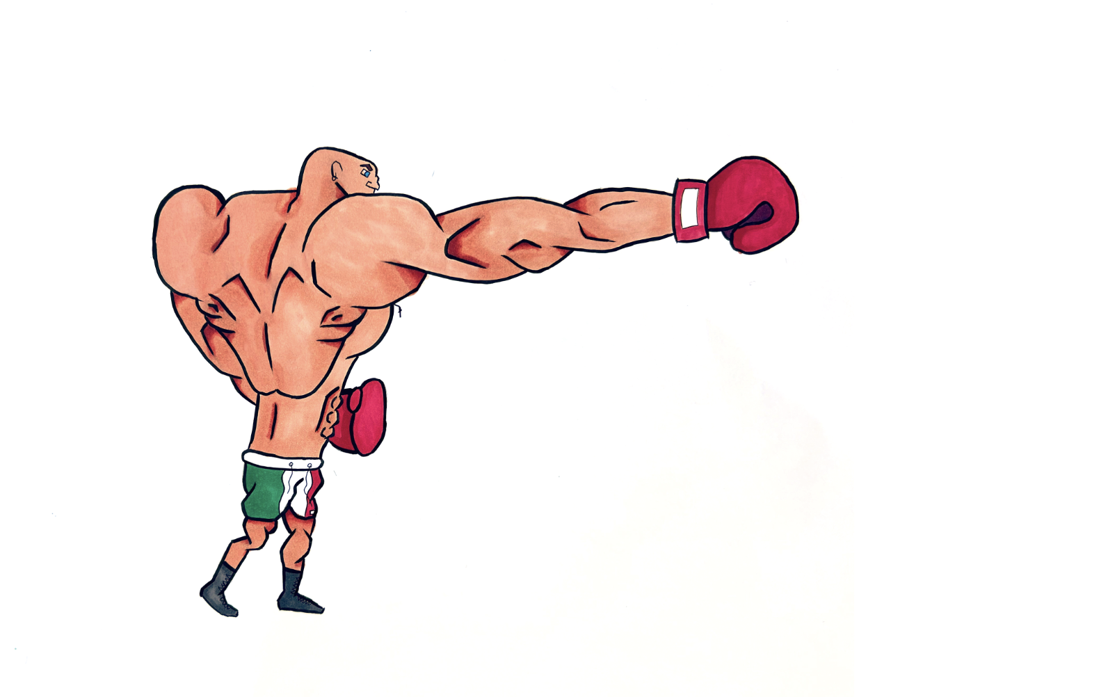 Boxer illustration