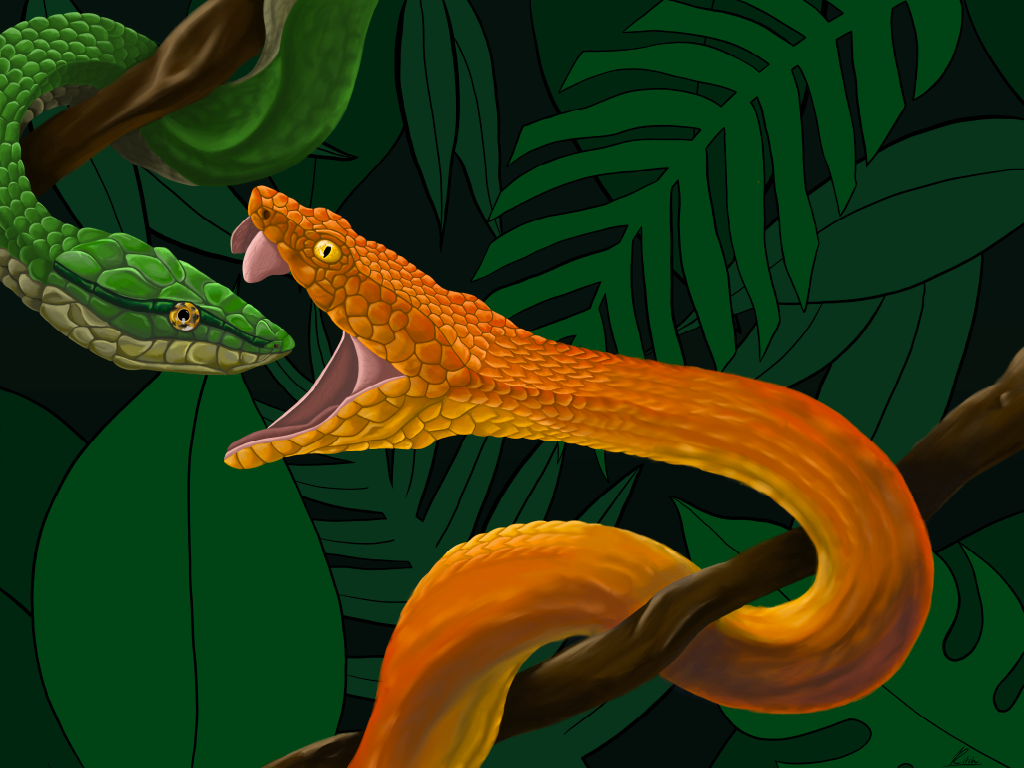Twin Snakes